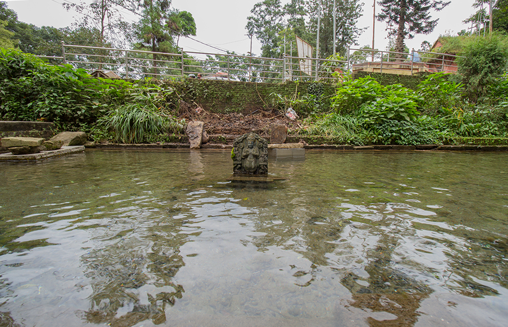 Semi-submerged carving of Surya