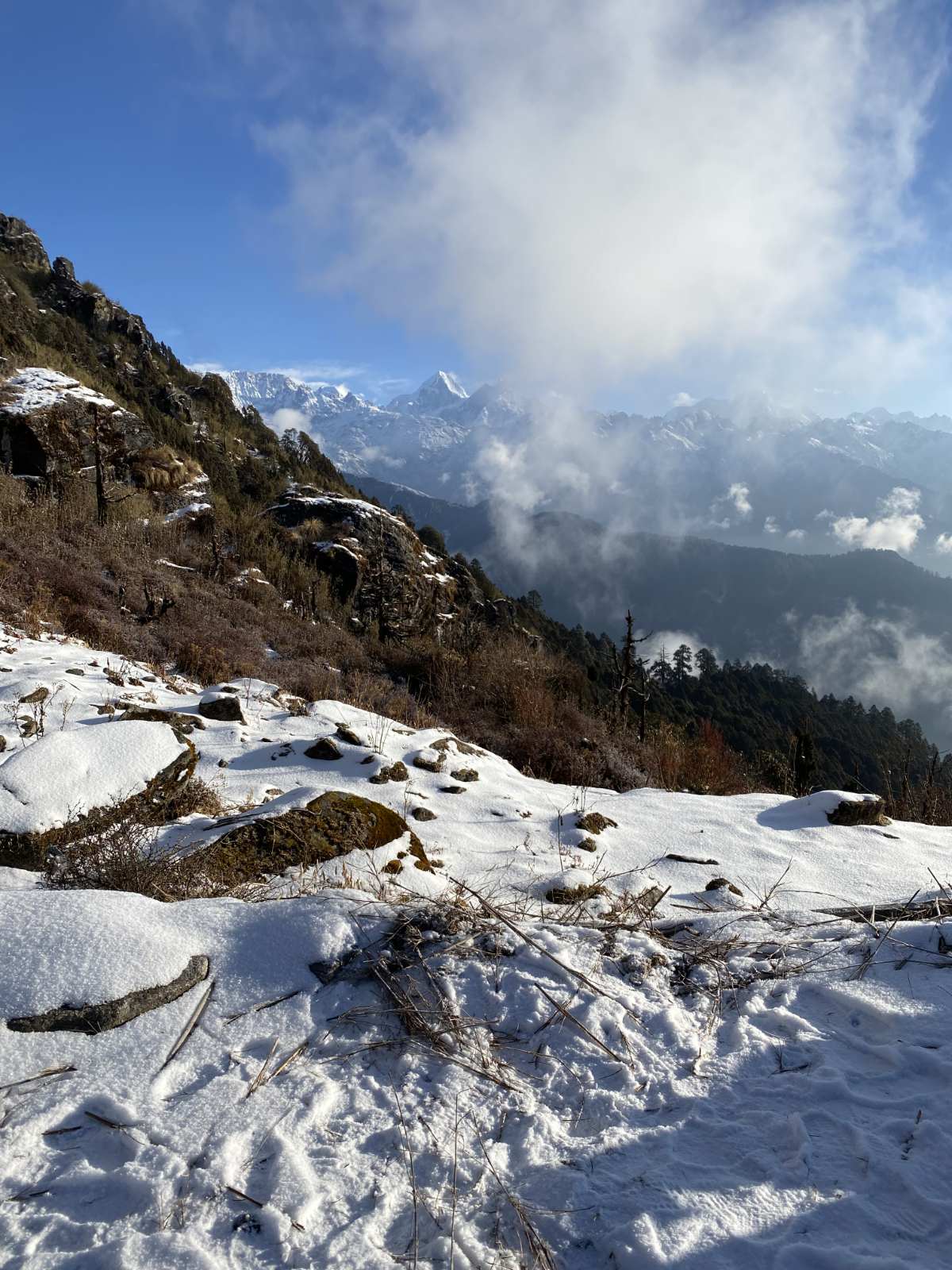 ama-yangri-trekking-nepal.jpg