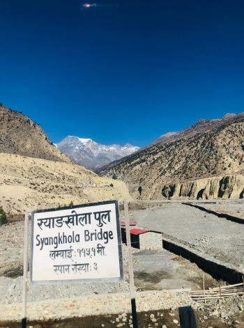 16.png