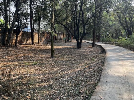 porpa-ajima-ranibari-jogging-kathmandu.jpeg-10.jpeg