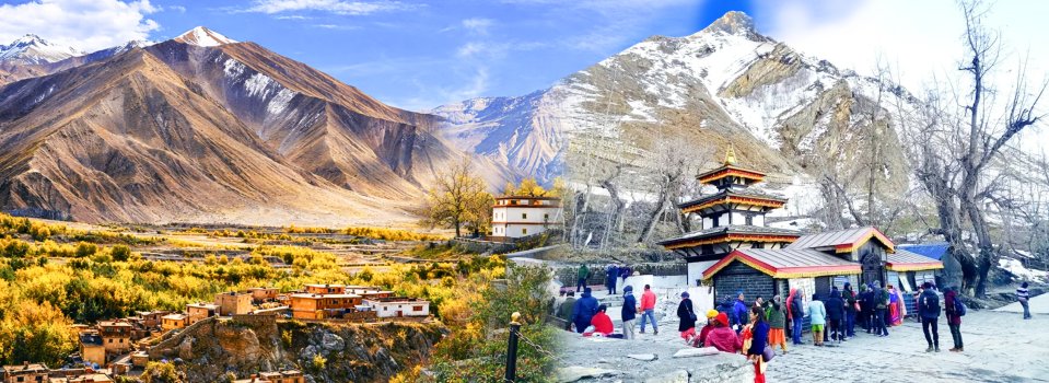Are Upper Mustang and Mustang the same_ Key Differences Explained copy 44.jpg